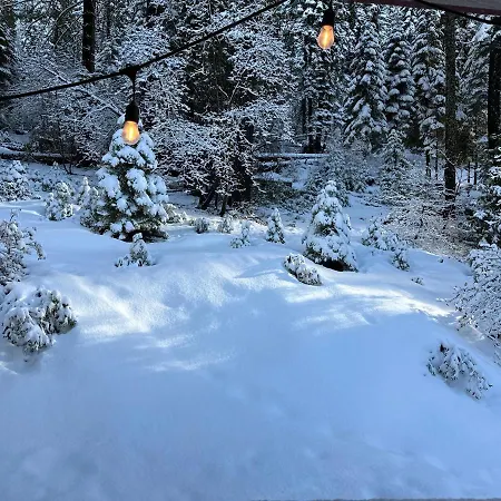 Yobee! Park Reservation Included! Heart Of Yosemite - Homey Studios And Breakfast Yosemite West Exterior photo