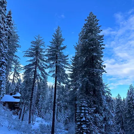 Yobee! Park Reservation Included! Heart Of Yosemite - Homey Studios And Breakfast Yosemite West Exterior photo